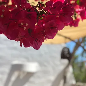 Casa Mariposa Es Pujols